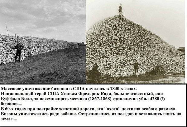 Рукописи не горят! Пришел вопрос: