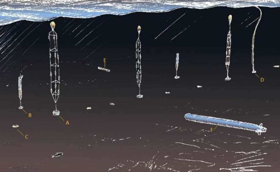 Поймать морского Бога за бороду