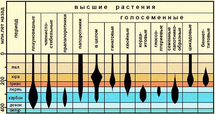 Несколько слов о хронологии. Часть 1