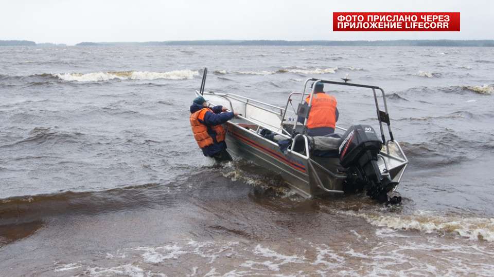 Взрослые без мозгов – это очень серьёзная трагедия