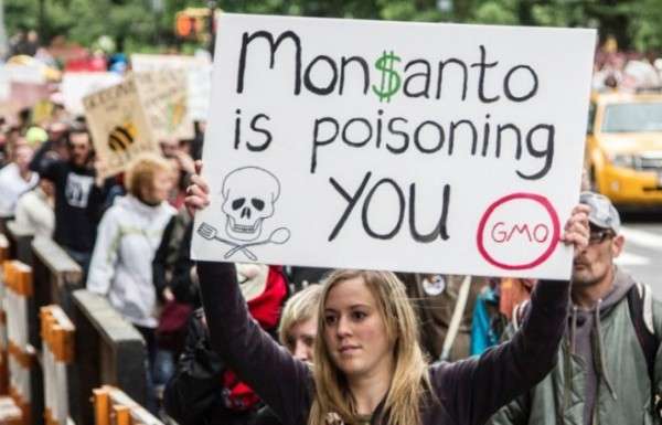 Monsanto  Bayer    -