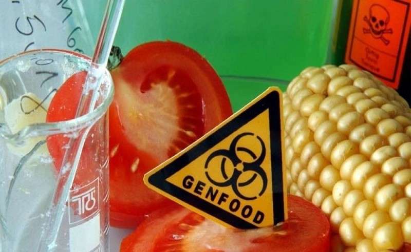 Россия мешает ГМО-диктатуре