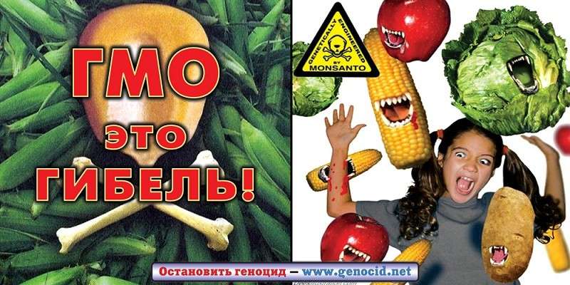 Россия мешает ГМО-диктатуре