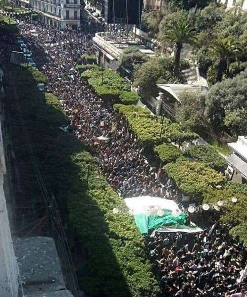 Арабская весна в Алжире по методичке, написанной на английском языке