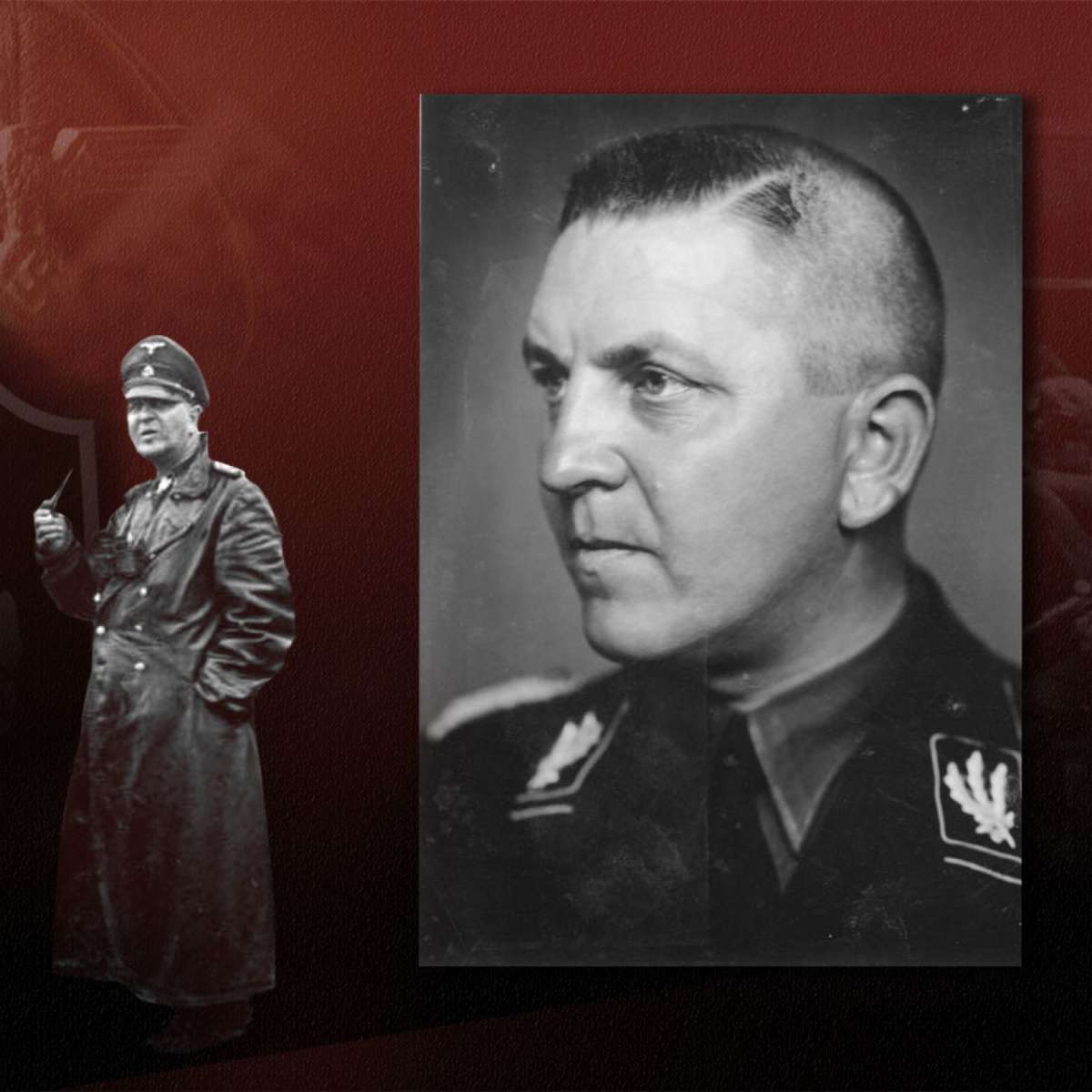 ss totenkopf история дивизии сс мертвая голова 1940 1945 манн крис