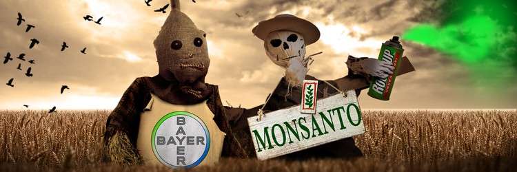    Bayer     