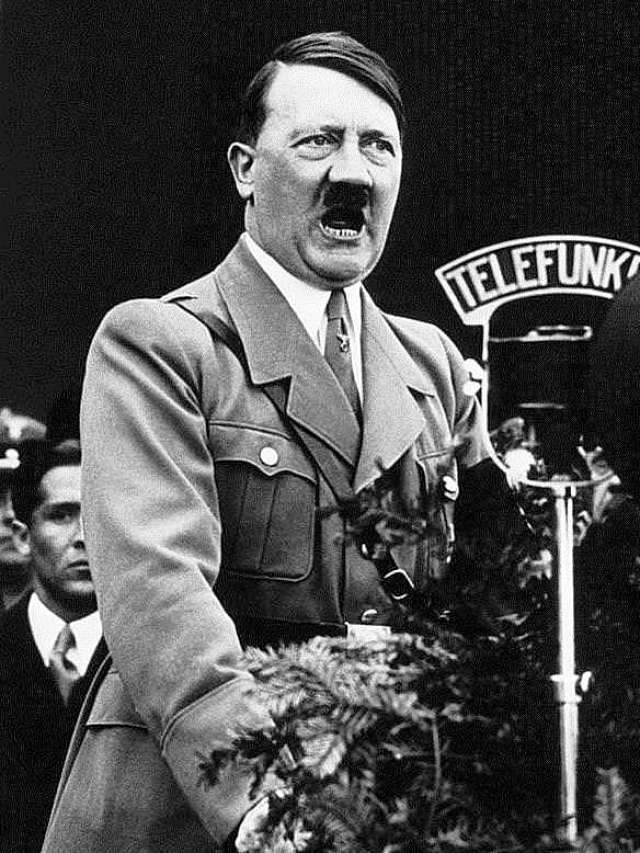 Кто стоял за Гитлеров и привел его к власти