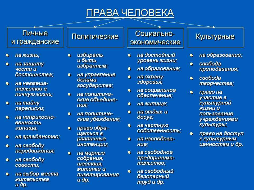 Политические права человека план