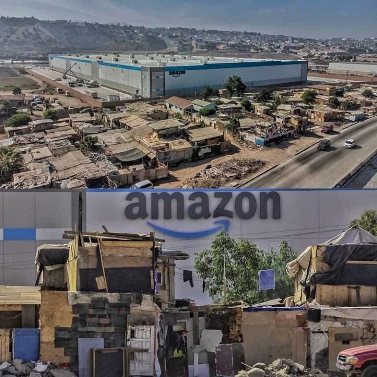       Amazon    