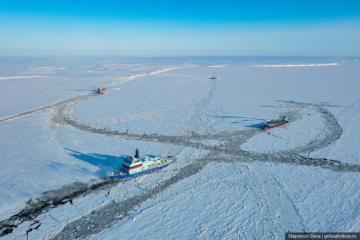 Атомные ледоколы – новые покорители Арктики