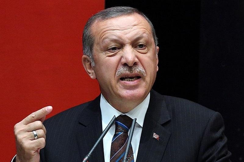 Эрдоган оценил удар России по боевикам в Идлибе
