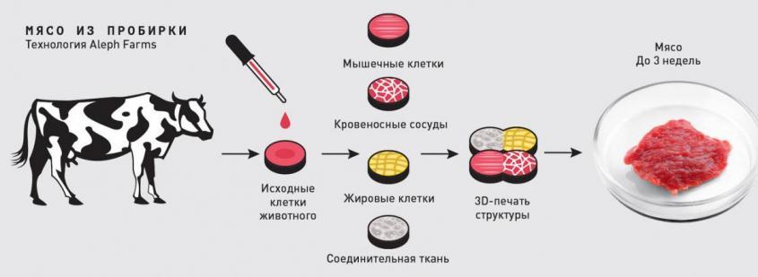 Искусственное мясо «из пробирки» внедряют в американский рацион питания