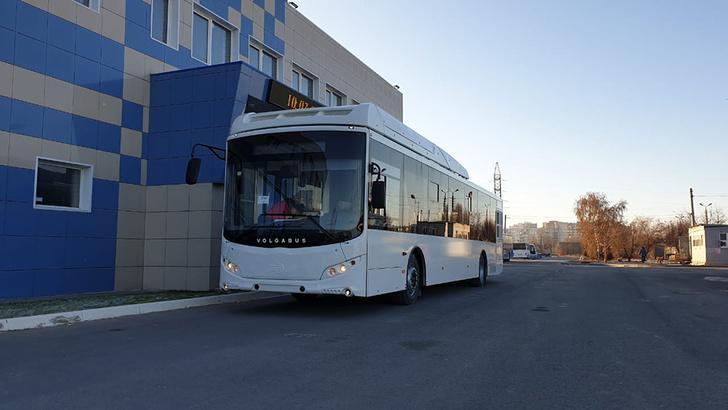 Еще 20 новых автобусов «Волгабас» большого класса прибыли в Воронеж