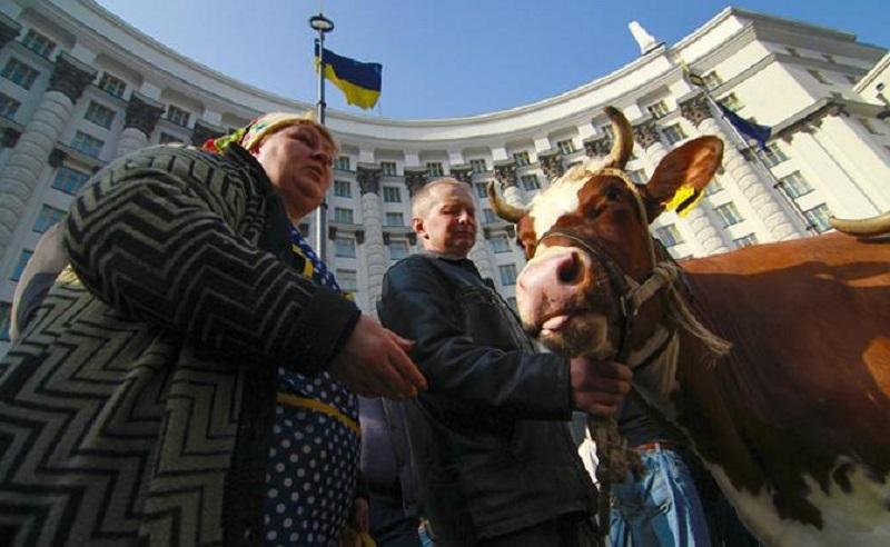 Украину ждёт голодный год. Злоключения незалежной стихийно продолжаются
