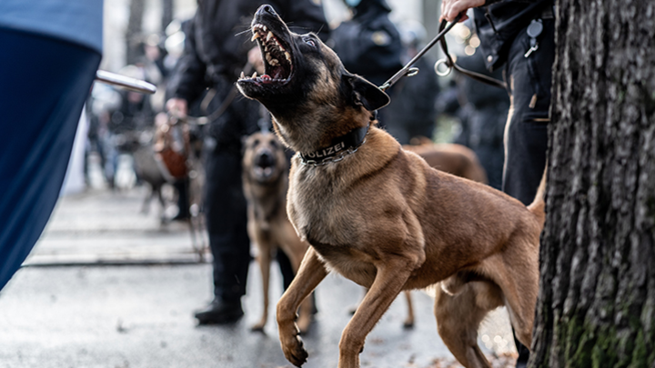 ��������� �� �����!: 10 ������� ���, ������� ����� ���� ������