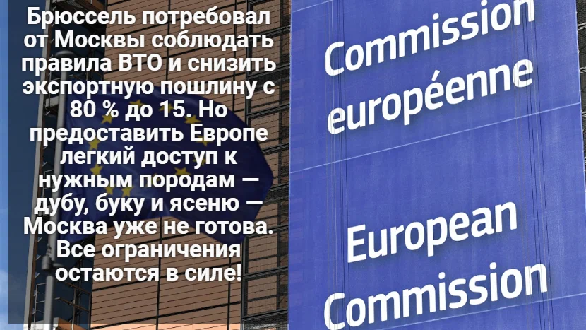 Россия жестко ответила на угрозы ЕС штрафами за отказ поставлять дешевый лес в Европу