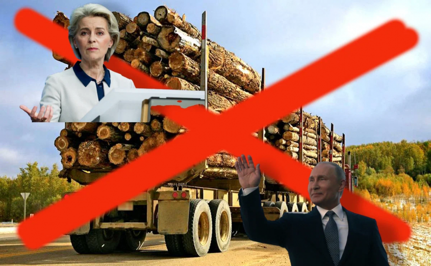 Россия жестко ответила на угрозы ЕС штрафами за отказ поставлять дешевый лес в Европу
