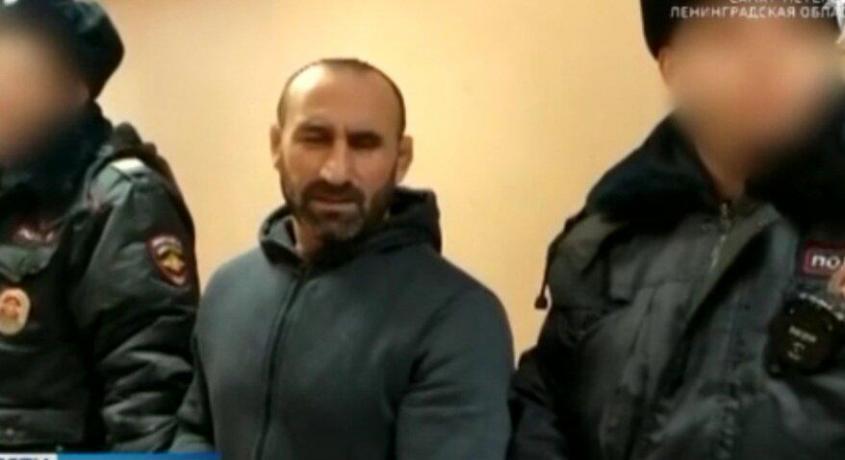 История «приезжего специалиста» Алиева, избившего сотрудника ДПС, получила неожиданный финал