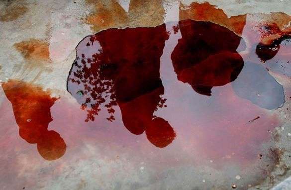 Королевские семьи Европы насиловали и убивали детей для развлечений в последние годы. 317158.jpeg Королевские семьи Европы насиловали и убивали детей для развлечений в последние годы. 317158.jpeg