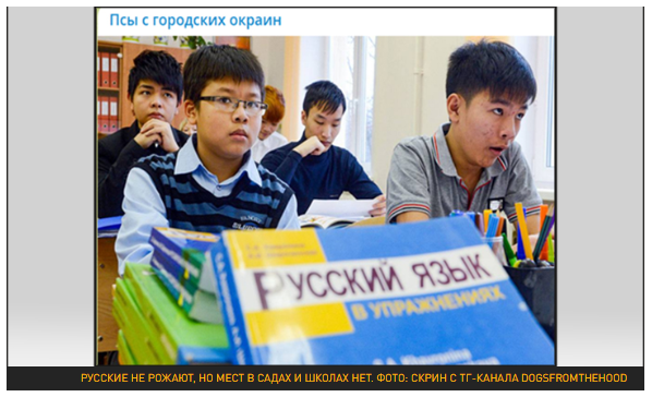 Места в садиках и школах отдали Мухаммадам и Аминам, мэр довольна, финны радуются: