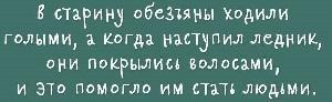 Из неполного собрания школьных сочинений