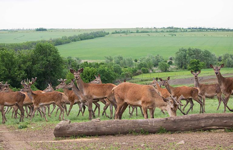 ���������� ������� ���������� ��������� ���� ������� � ����� �������