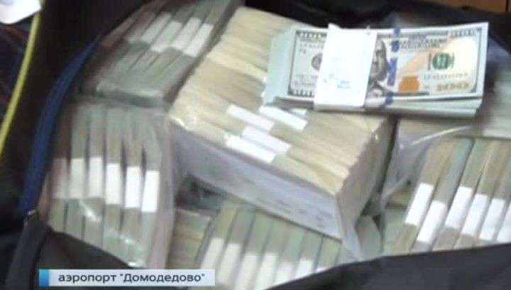 Украденные в Домодедово деньги нашли в течение суток