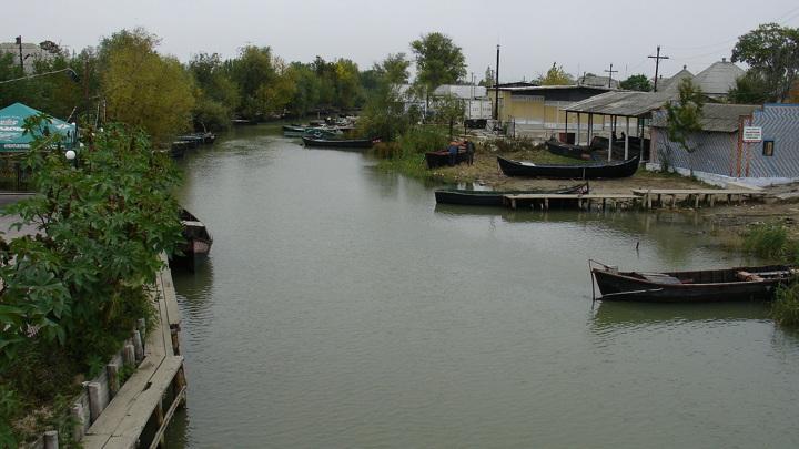 NYT: в оккупированном киевской хунтой городе Вилково не осталось мужчин, кроме мэра