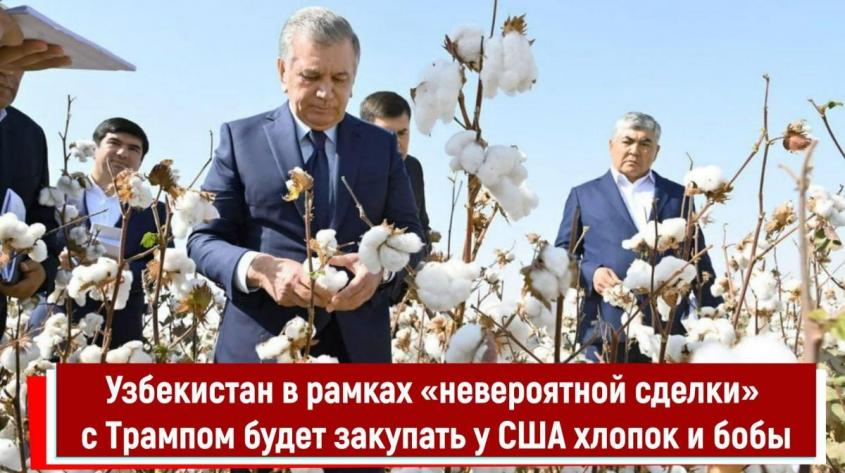 Узбекистан в рамках «невероятной сделки» с Трампом будет закупать у США хлопок и бобы