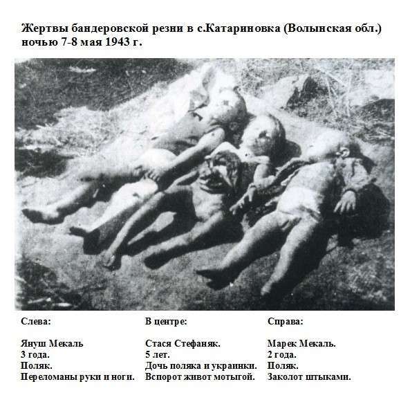 ярош4.jpg Еврейский ударный батальон