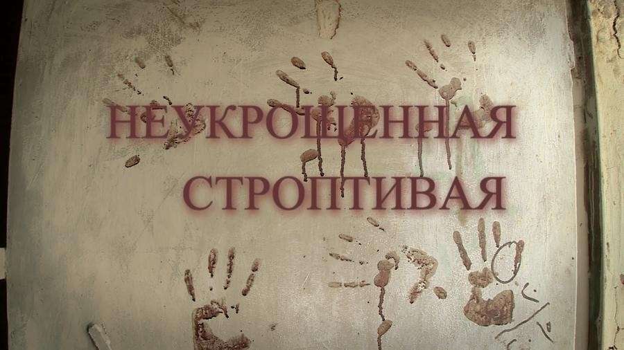 «Неукрощённая строптивая»: премьера фильма на RTД