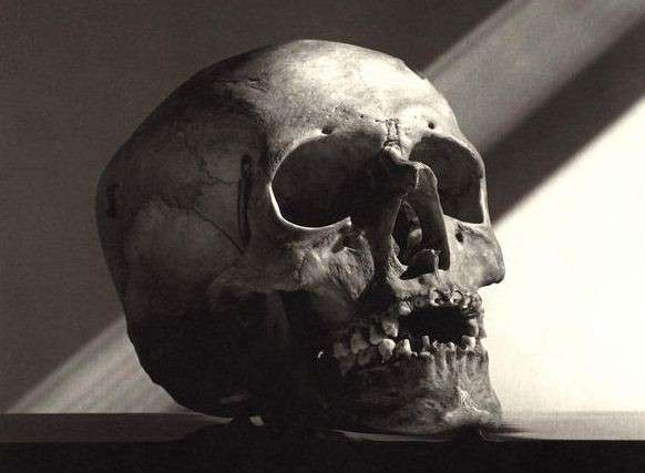 hunters skulls 9 hunters skulls 9