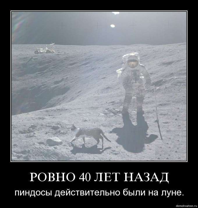 Всё обломилось в доме Смешаловых