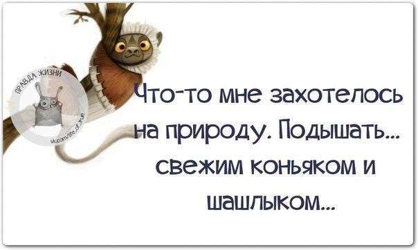 Новости дня от Юлии Витязевой, 24 апреля 2016 года