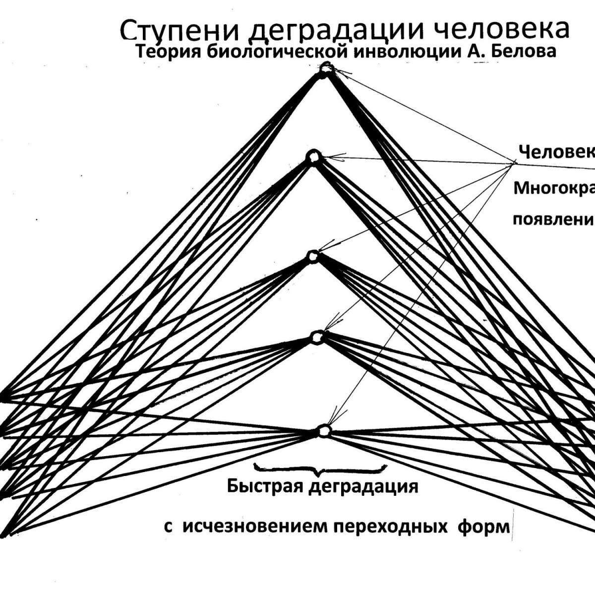 Мифология эволюции и реальность инволюции