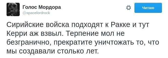 Картина маслом-49. Обзор за неделю