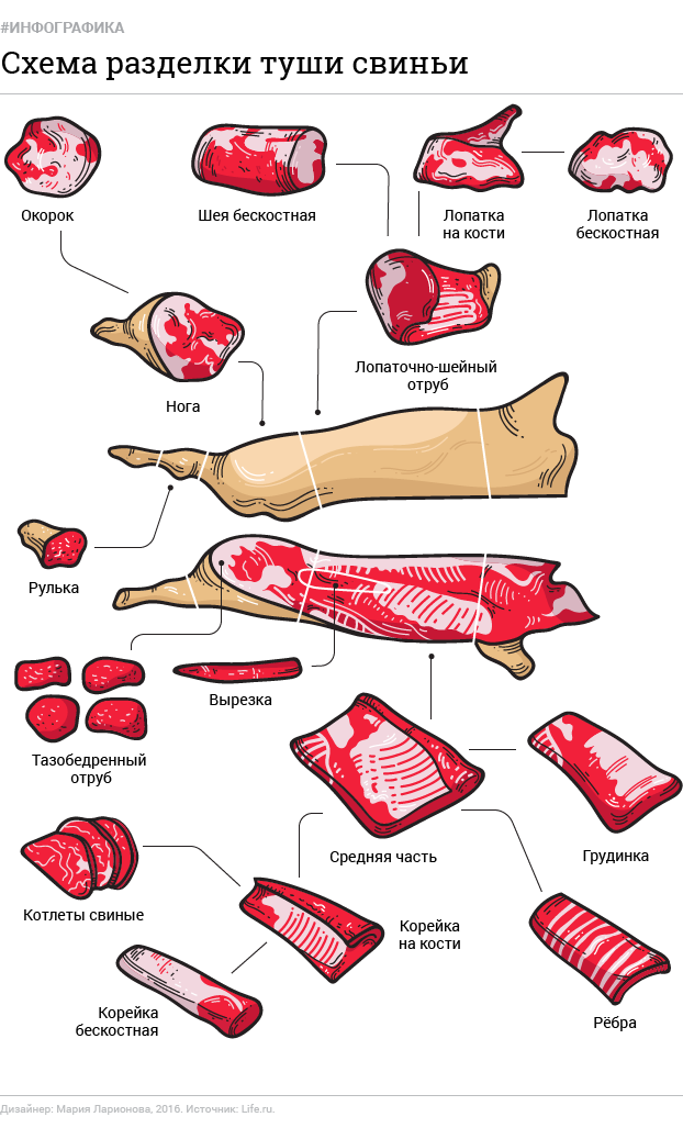 Части свиной туши схема