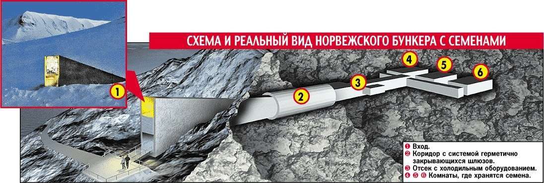 Где находится один из крупнейших банков семян в мире?