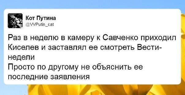Картина маслом-52. Обзор за неделю Алексея Смирнова