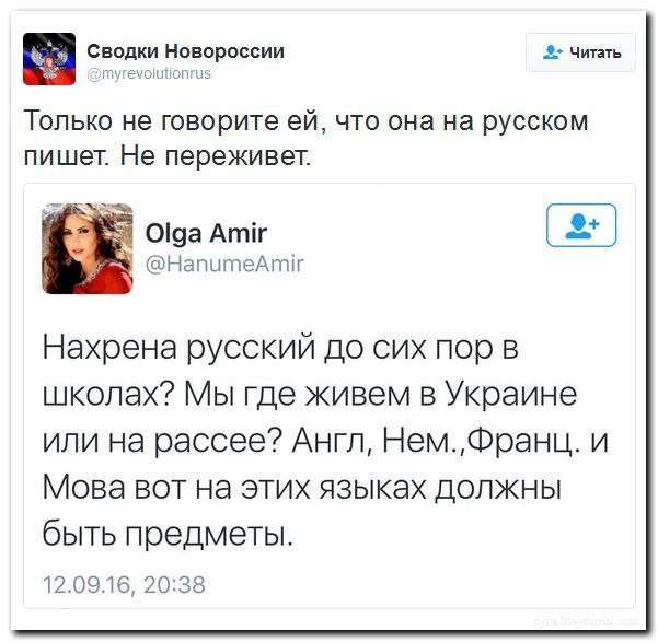 Картина маслом-58. Обзор за неделю с нужной долей юмора