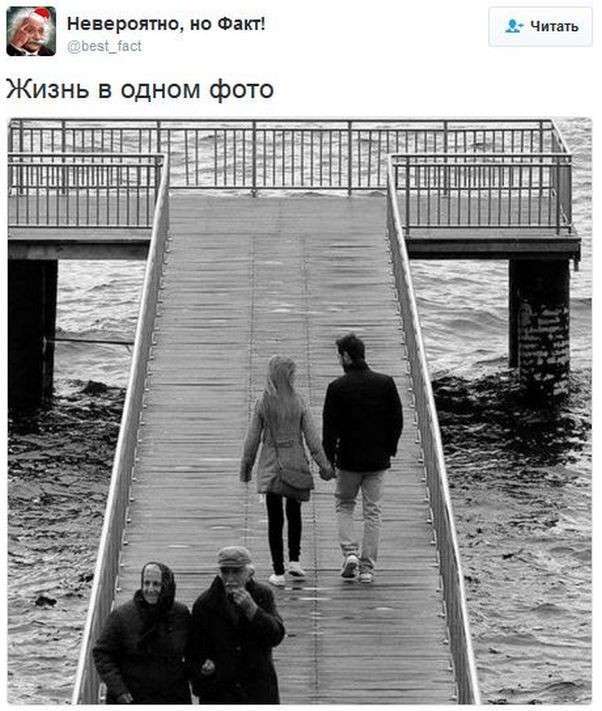 Соцсети жгут 86: на кремлёвскую ёлку войдут дети дипломатов, а выйдут агенты Кремля