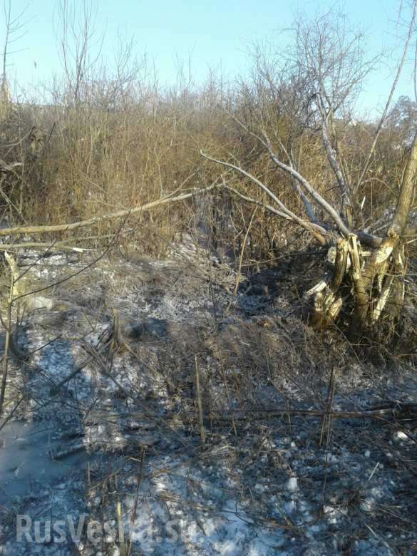 ВАЖНО: Обстрелы продолжаются, школа в Макеевке эвакуирована, попадание в 9-этажный дом, в Донецке ограничено движение транспорта (+ФОТО) | Русская весна