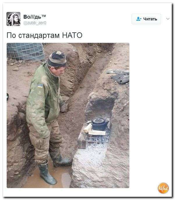 Юмористическо-саркастическая подборка материалов об обстановке в Мире. Выпуск №311