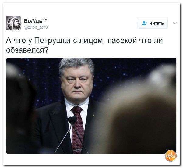 Юмористическо-саркастическая подборка материалов об обстановке в Мире №323