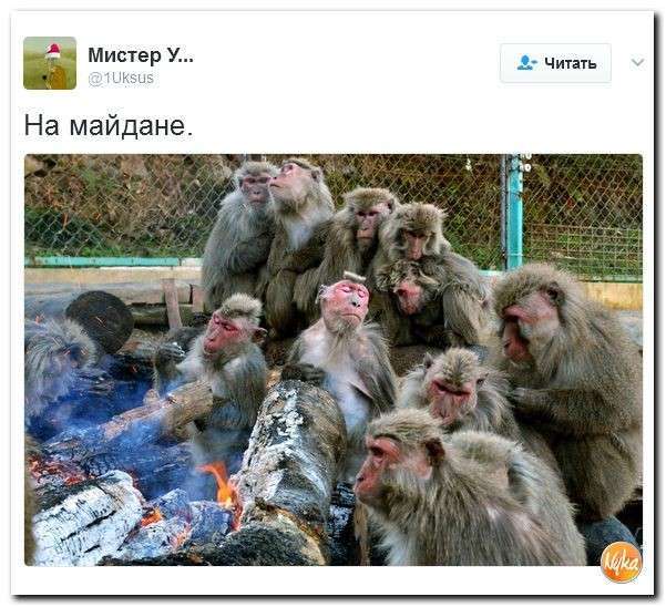 Юмористическо-саркастическая подборка материалов об обстановке в Мире №327