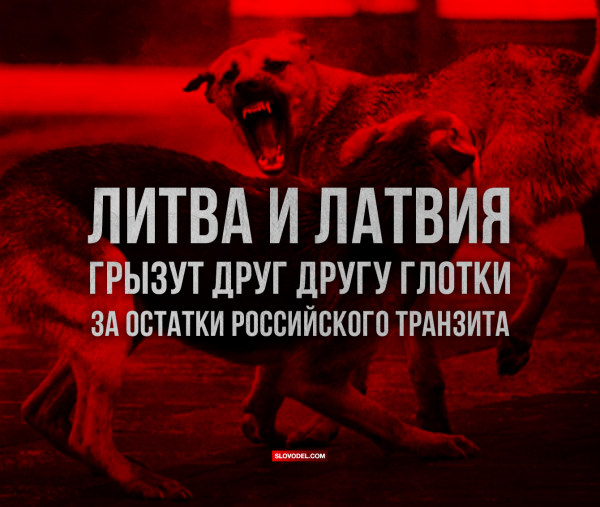 Литва и Латвия ожесточённо грызут друг другу глотки за остатки российского транзита