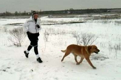 ��������� ��������� ������� � �������