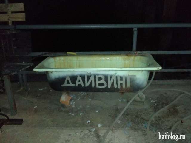 Диана Шурыгина. Смех в картинках. Жизнь с юмором.