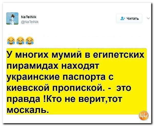 Подборка Юмор помогает нам пережить смуту: Украина це Европа?