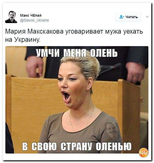 С юмором по нашей тёмной жизни: подборка материалов об обстановке в Мире №349